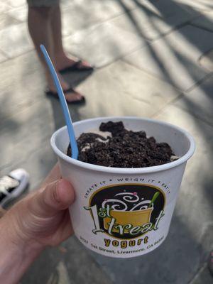 Delicious froyo beyond your wildest expectations