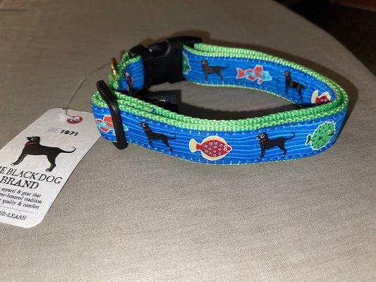 Dog collar so adorable!