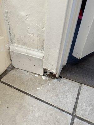 giant hole in baseboards (bathroom)