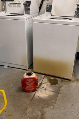 Laundry Room: We've reported this leak and rot for 2 years.