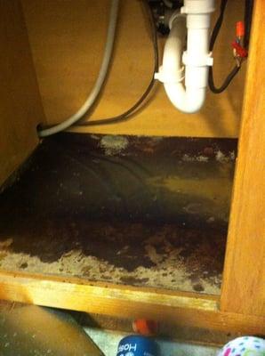 Under the sink!! Dealt with this for months!!!