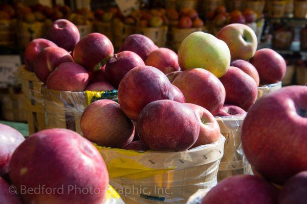 New York Harvest