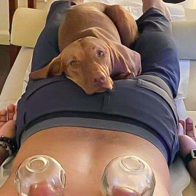 Therapy Dog with Cupping