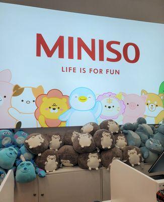 Miniso at the Brandon Exchange