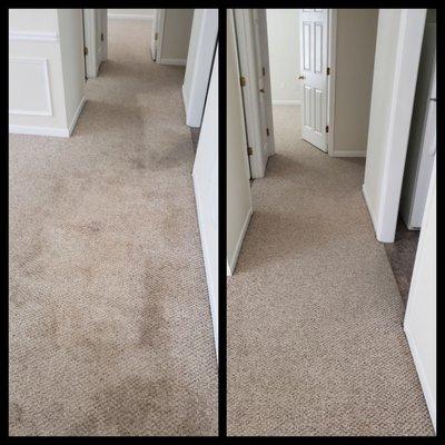 Affordable  carpet  cleaning  Powder Springs Ga