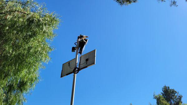 Solar lighting in the arenas