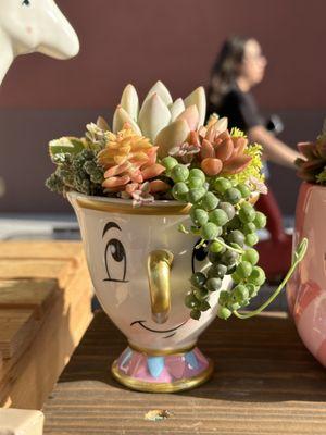 The Opulent Succulent