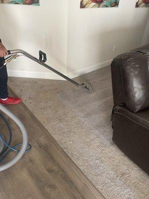 Carpet cleaning