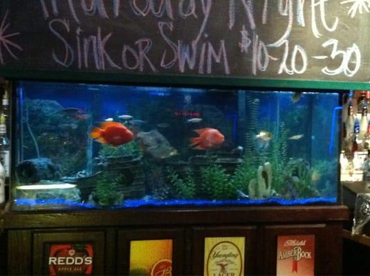 Pretty fish tank :)