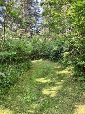 Cullaby Lake County Park - loop trail