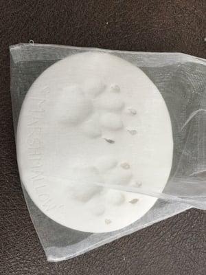 Beautiful clay imprint of Marshmallow's paws with his name