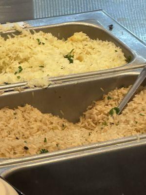 Fly on the edge of the rice tray