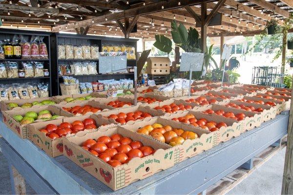 Summer produce (tomatoes)