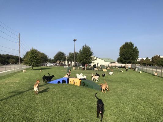 The size of Rover Oaks' outdoor play spaces and private dog parks are unmatched by any other centrally located Houston doggie daycare!