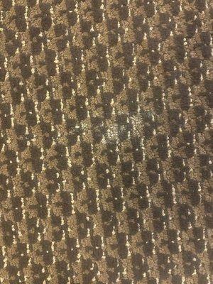 Obvious carpet stains with no attempt to clean