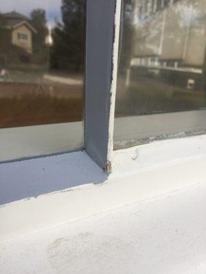 close up of window replacement