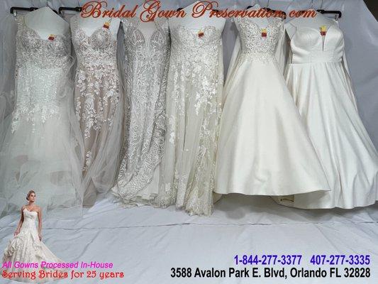 We also specialize in Wedding Gown Cleaning, Preservation & Restoration. Serving brides for 25+ years.