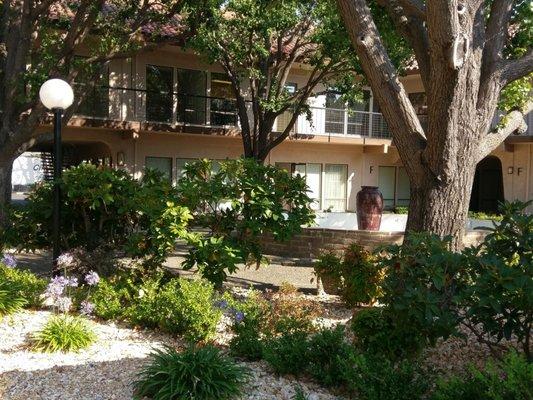 Courtyard area outside office.