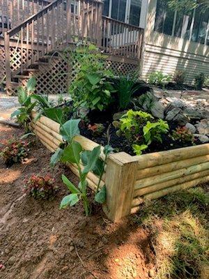 We replaced all the wood in this raised bed.