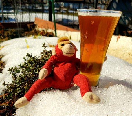 Rum Raisin Infused Brew Monkey