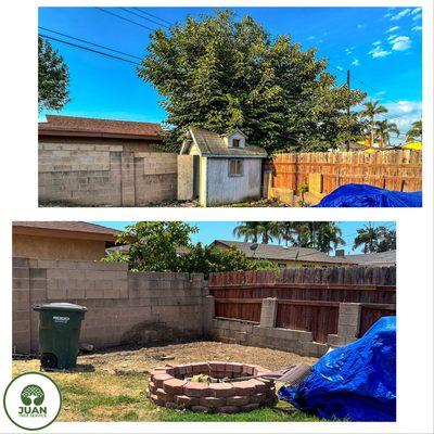 Comparison Before & After Tree Removal Near Me With Stump Grinding