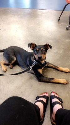 Sweet baby Leo waiting for class to start. :)