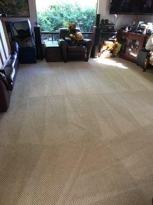 Alamo Carpet & Tile Restoration