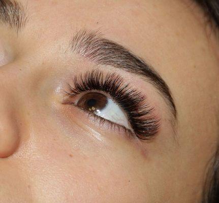 Volume lashes