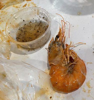 Disgusting Shrimp