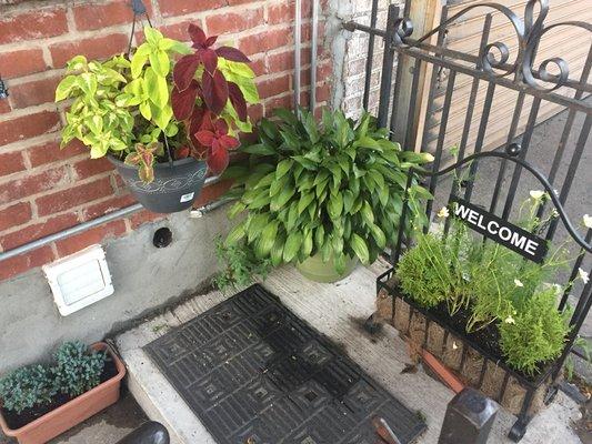 Welcome sign and plants at top of stairs, next to auto repair shop