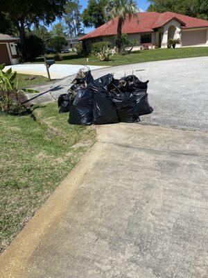 Results of a good morning of To-Do Dudes help, with removing and bagging unwanted plants from our property.