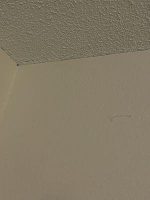 Stain in wall and peeling tape at ceiling.