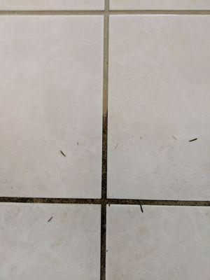 Deep steam tile and grout cleaning