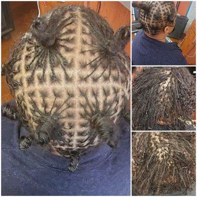 #braidloc #growth