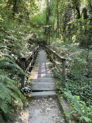 Beach trail