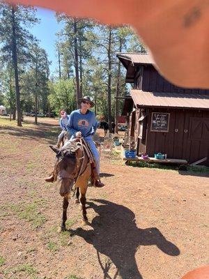 Pinetop Lakes Equestrian Center