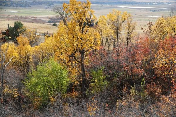 fall colors near the bottom of the path during fall peak. Probably my favorite fall foliage photo, looks great in 18 megapixels.