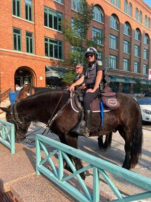 Mounted police