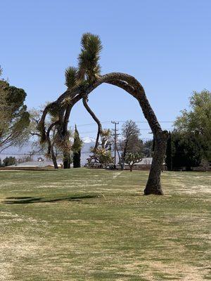 Apple Valley Golf Course