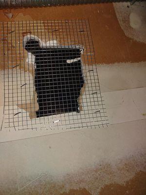 Rodent proofing