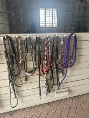 Horse reins