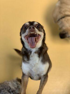 Only smiles at daycare!