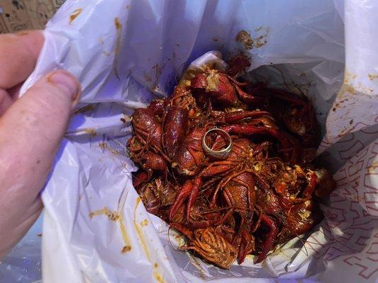 Mud bugs!