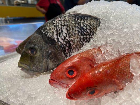 Fish market stocked with NC whole fish, oysters, frozen seafood, and more.