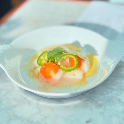 Scallop crudo