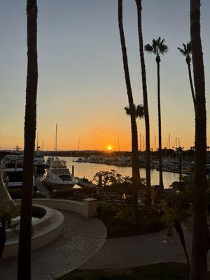 From the lobby patio.