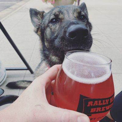 Patio seating with the pup and a brew