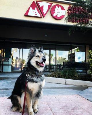 Libby visiting The Animalife Veterinary Center!