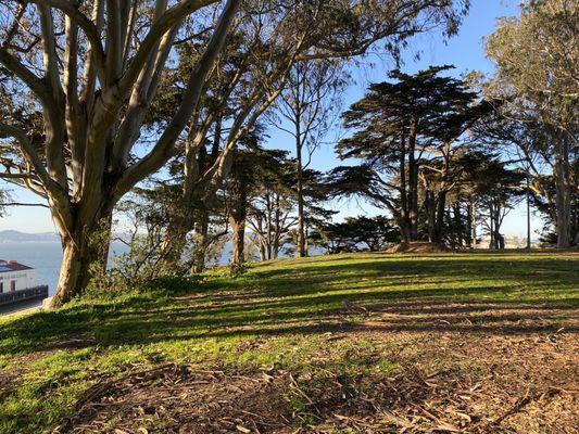 The Great Meadow Park at Fort Mason