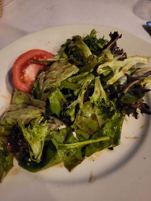 Salad with one piece tomato